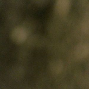 Meet your Posher, Kenya