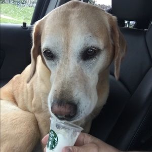 Meet your Posher, Cheree