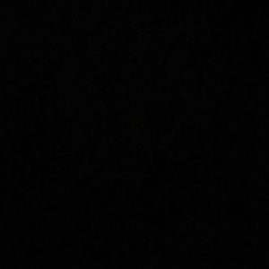 Meet your Posher, Lacy