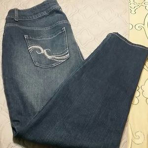 Lane Bryant Genius Fit Skinny Jeans