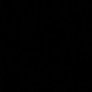 Meet your Posher, Val