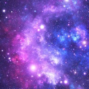 Meet your Posher, Sophia