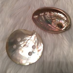 2 natural seashells can be worn as pendants