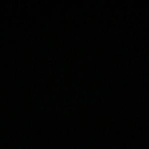 Meet your Posher, Cait