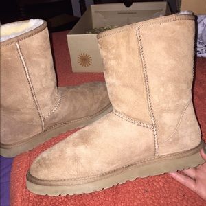 Short classic chestnut uggs