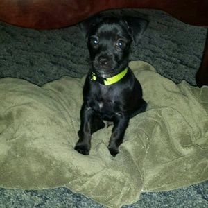 Meet your Posher, Paula