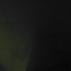 Meet your Posher, Monique