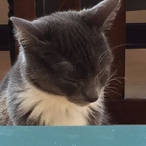 Meet your Posher, Luke