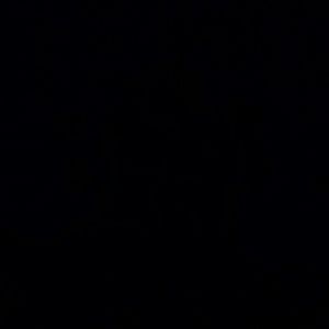 Meet your Posher, Ken