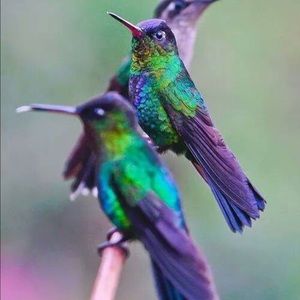 Meet your Posher, Gaspar