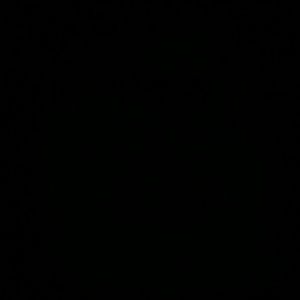 Meet your Posher, Asantae