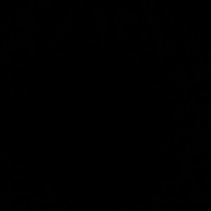 Meet your Posher, Mysti