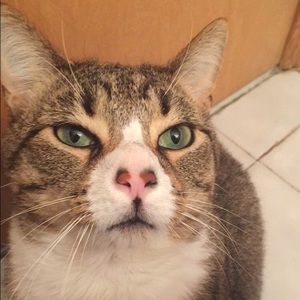 Meet your Posher, Sandra