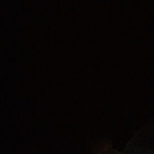 Meet your Posher, Arlene