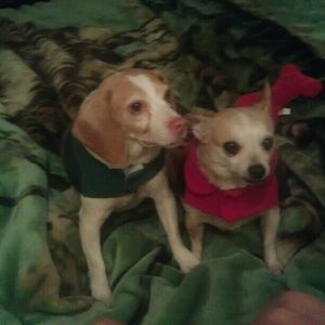 Meet your Posher, Christina