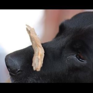 Meet your Posher, Ruth