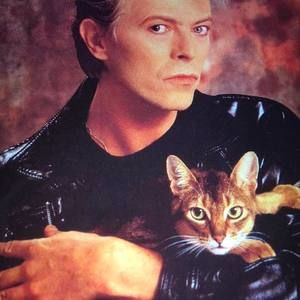 Meet your Posher, Lynne