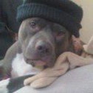 Meet your Posher, Stacey