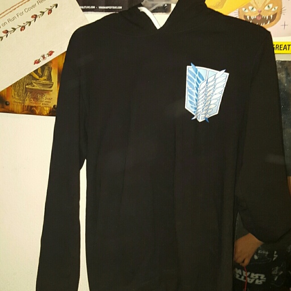 Attack on Titan hoodie - Picture 1 of 4