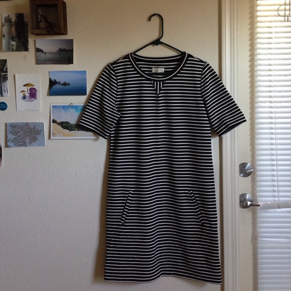 Loft Lou & Grey dress