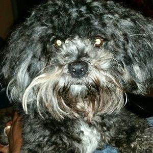 Meet your Posher, Tequila