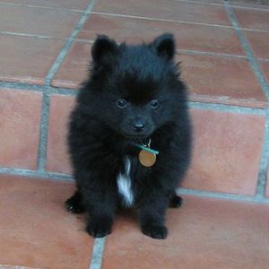 Meet your Posher, Kaili