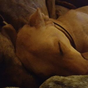 Meet your Posher, Alina