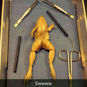 Meet your Posher, Kim