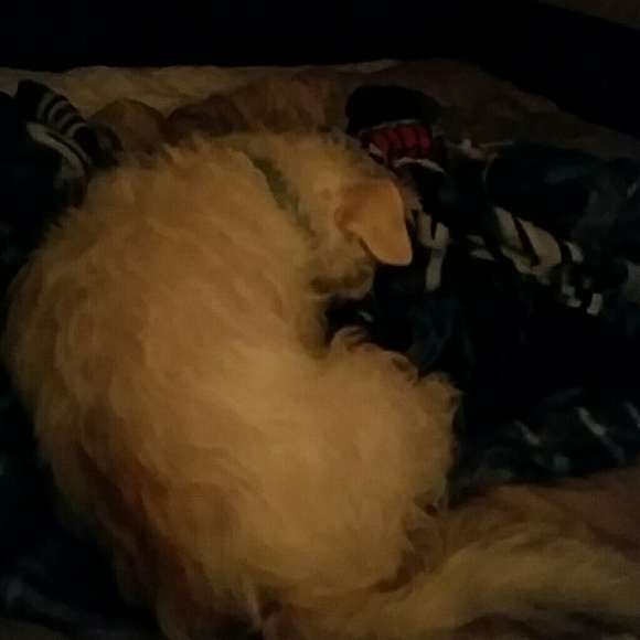 Meet your Posher, Trena - Picture 1 of 1