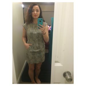 Zara snake print dress