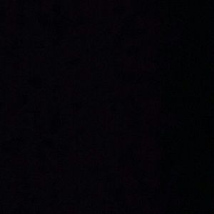 Meet your Posher, Whitney