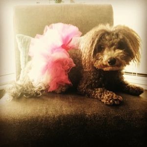 Meet your Posher, Cindy