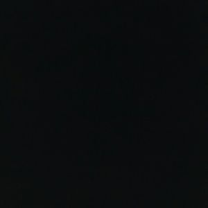 Meet your Posher, Maxine