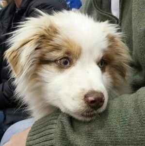 Meet your Posher, Kristi