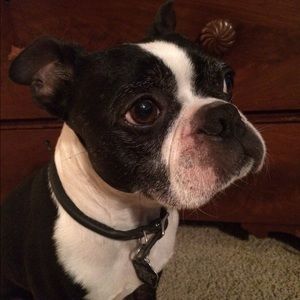 Meet your Posher, Christie