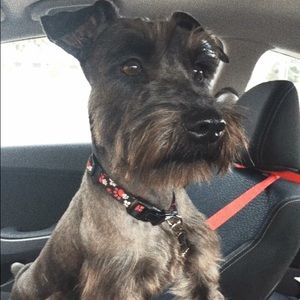 Meet your Posher, Ofelia