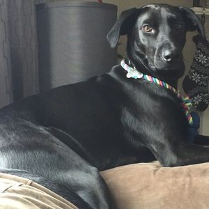 Meet your Posher, Laura