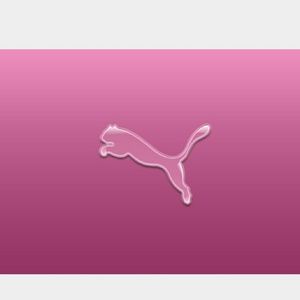 Meet your Posher, Chelsey