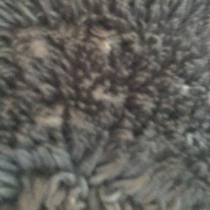 Meet your Posher, Holli