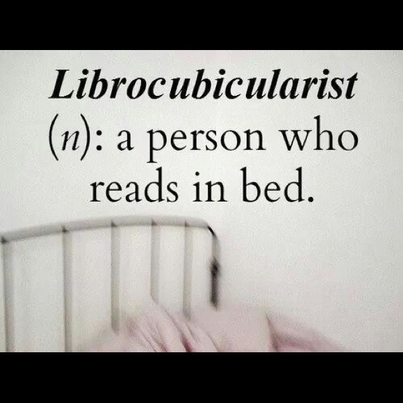 Meet your Posher, Shasta - Picture 7 of 7