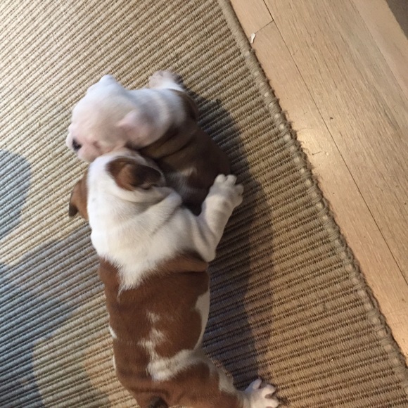 Meet your Posher, Olivia