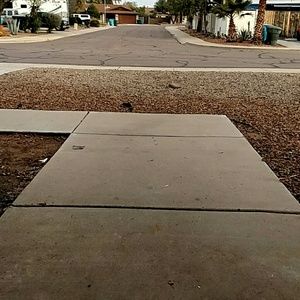 Meet your Posher, Ginger