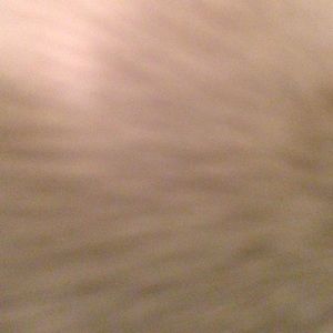 Meet your Posher, Dylan