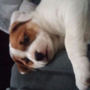 Meet your Posher, Chyenne