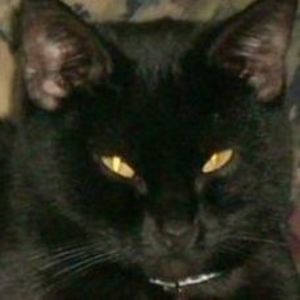 Meet your Posher, Denise