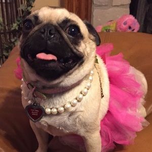 Meet your Posher, Debra