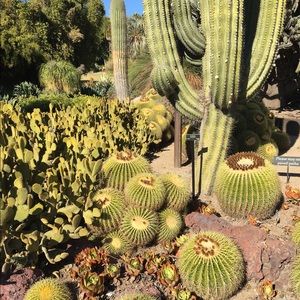 Meet your Posher, Alison