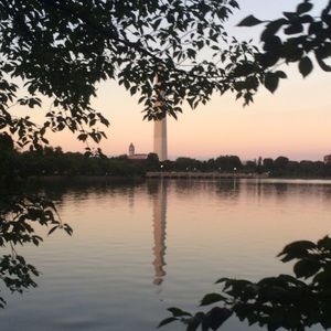 Meet your Posher, Jess