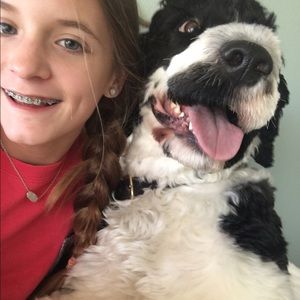 Meet your Posher, Ava