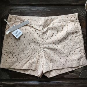 Kenar Lace Tan Shorts